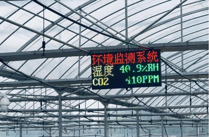 1.8秒育秧奇迹！湖南益阳机械化流水线颠覆传统农业，日育2000盘震撼登场  第8张