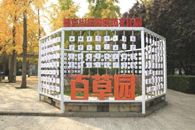 探秘望京中医药文化园：2874平方米的中医智慧，名家故事与养生诀窍一网打尽  第1张