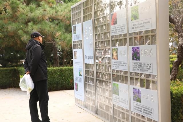 探秘望京中医药文化园：2874平方米的中医智慧，名家故事与养生诀窍一网打尽  第3张