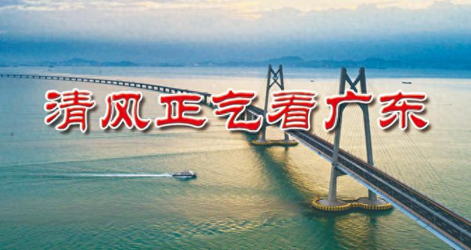 300万贿赂背后的真相：一个乡贤的百亿项目如何被贪腐吓退？  第1张