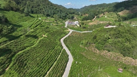 龙里县刺梨基地入选全国绿色食品原料标准化生产基地，5.46万亩绿色食品发展新篇章