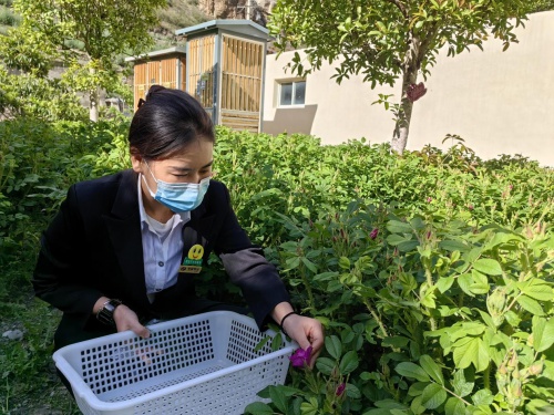 红色物业巧思妙想，花样面点培训让业主幸福感爆棚  第2张