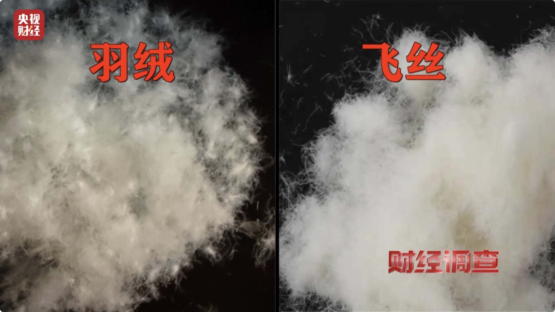 羽绒服出事了？降雪降温来袭，选购羽绒服如何避坑？学会这几招，冬天不再冷  第2张