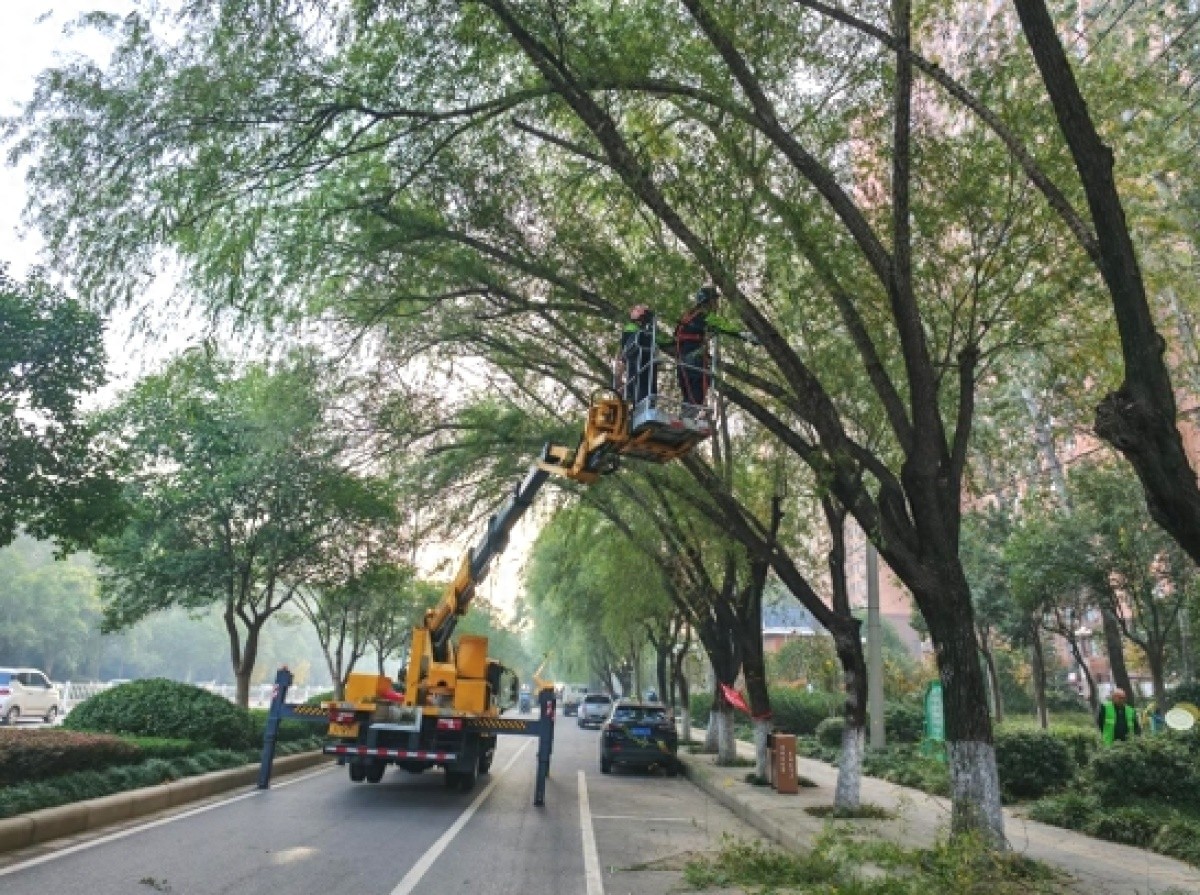 漯河市园林绿化大动作：高空作业车助力行道树整形，道路焕然一新