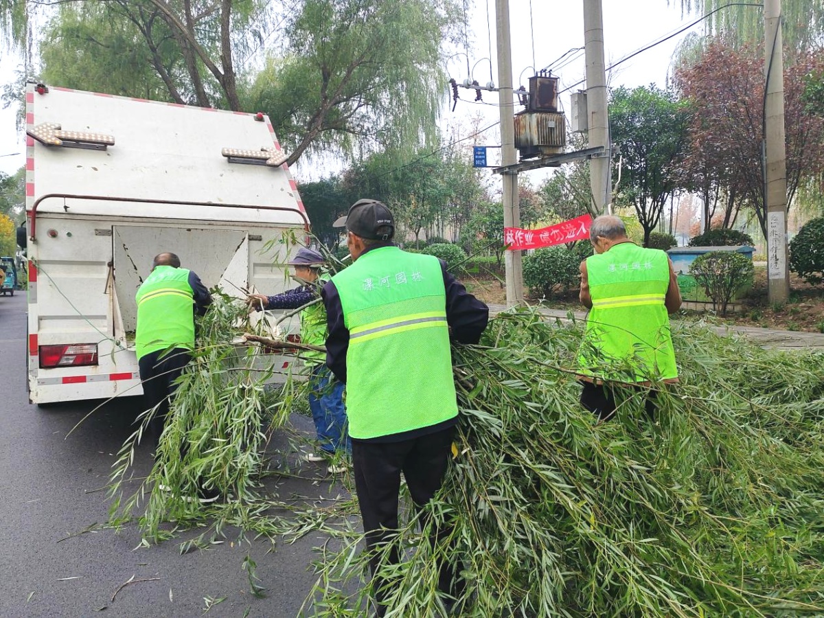 漯河市园林绿化大动作：高空作业车助力行道树整形，道路焕然一新  第2张
