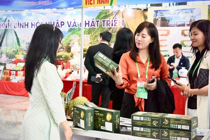 2024年中越边境盛会：千家企业齐聚，共谋经济贸易旅游新篇章  第3张