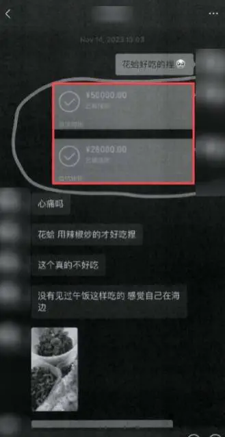 追星梦碎：大粉诈骗案庭审揭秘，粉丝豪掷千金换来空欢喜