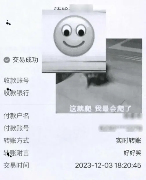 追星梦碎:大粉诈骗案庭审揭秘,粉丝豪掷千金换来空欢喜 第2张 追星梦碎:大粉诈骗案庭审揭秘,粉丝豪掷千金换来空欢喜 第2张