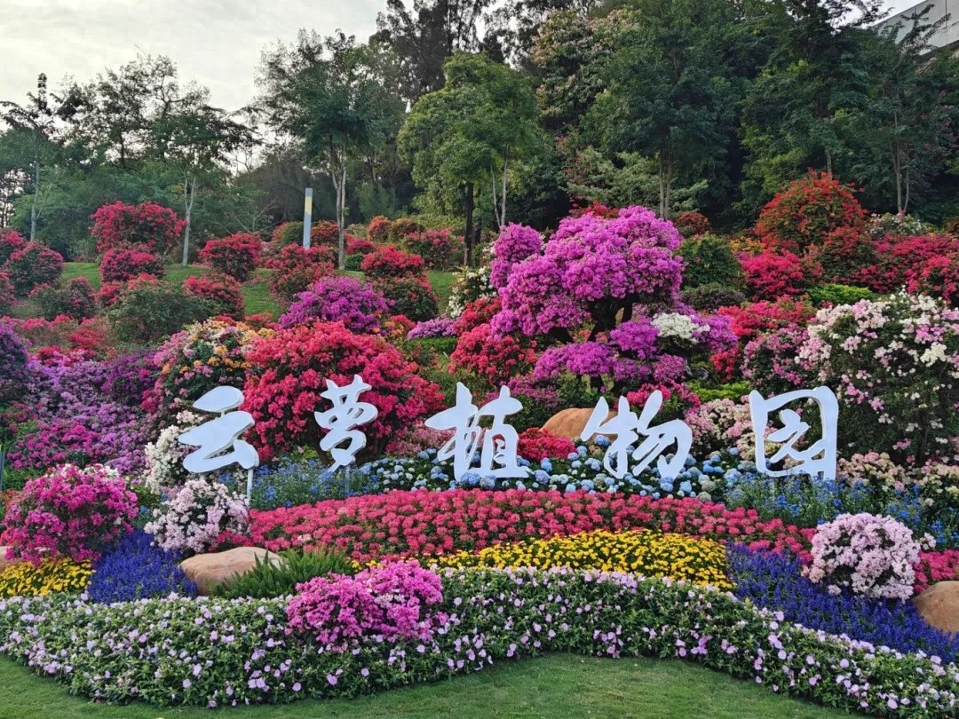 白云山新宠！云萝植物园11月29日盛大开园，半价优惠等你来