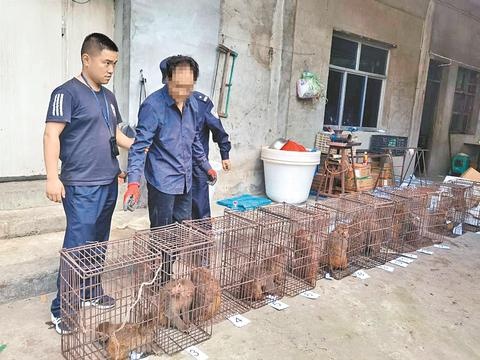 达州警方破获1.36亿猕猴案，背后隐藏的野生动物保护难题亟待解决  第2张