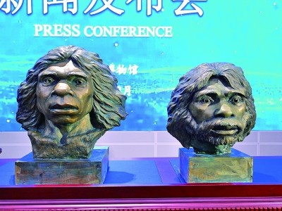 湖北郧县人头骨化石复原像首次曝光，揭开100万年前人类神秘面纱  第1张