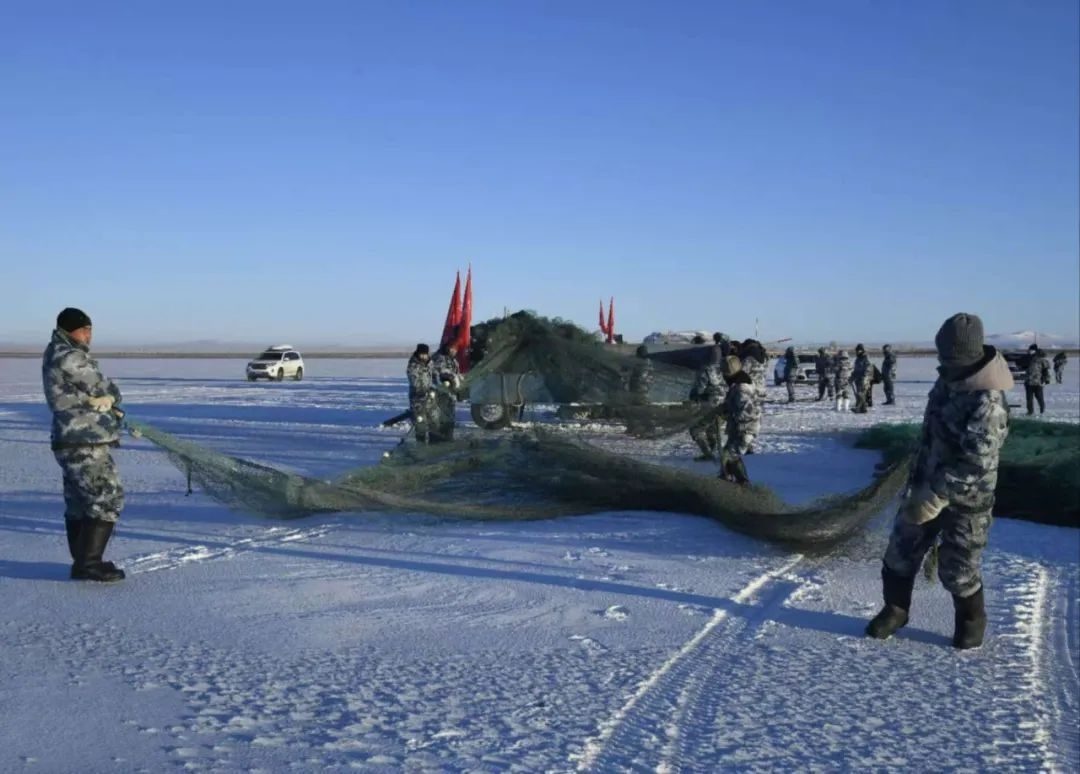 零下20度的冰面奇迹：达里湖冬捕，一场与时间赛跑的丰收盛宴  第4张