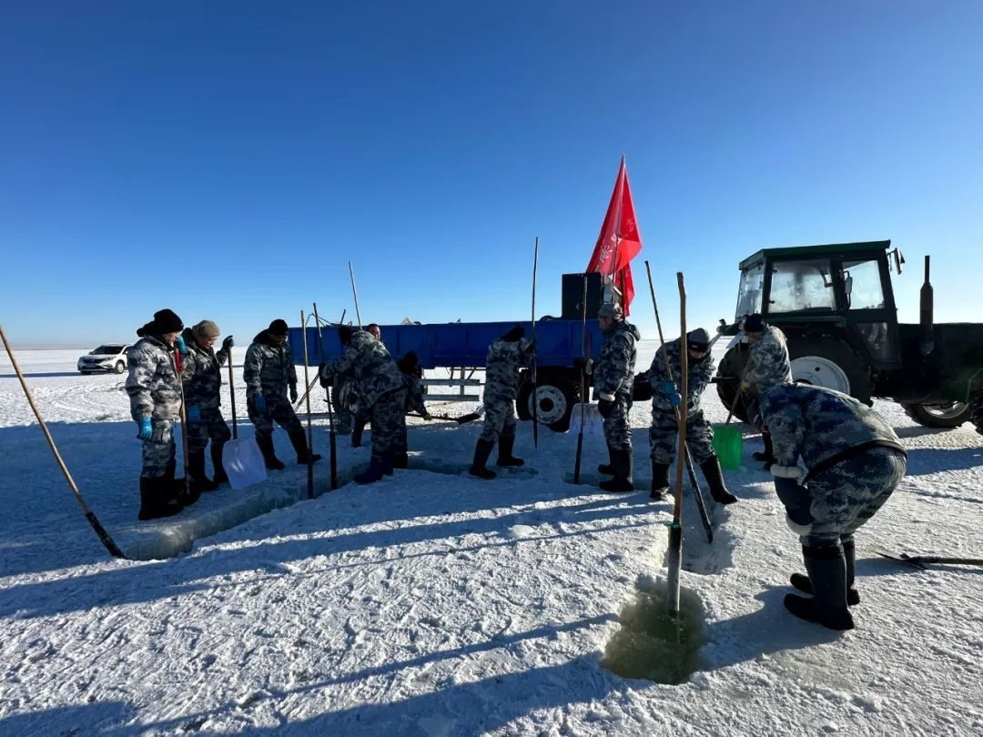 零下20度的冰面奇迹：达里湖冬捕，一场与时间赛跑的丰收盛宴  第7张