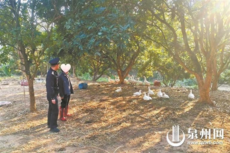 51只鸭鹅连夜出逃，民警5小时紧急寻回，这场寻禽记背后有何故事？  第1张
