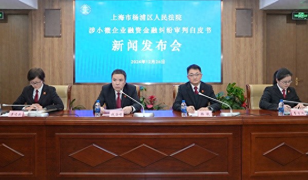 杨浦法院发布重磅白皮书：273件小微企业金融纠纷案件背后的司法保障与金融生态建设