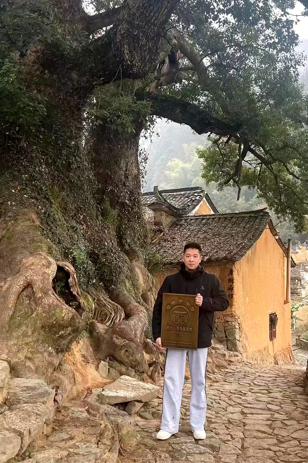 2024年乡村振兴新篇章：5所高校联合调研，揭秘青年返乡创业的苦与甜  第3张