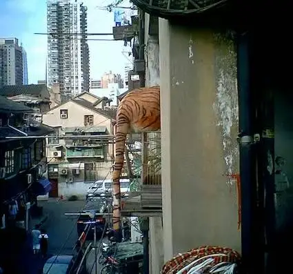 2024年12月20日，西门生活季弄堂摄影节：一场视觉与文化的盛宴，邀您共探老城厢的深厚底蕴  第11张