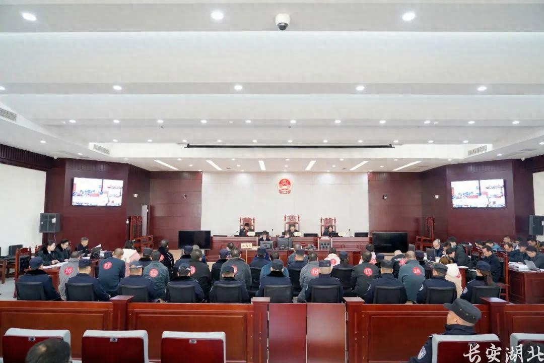 惊！住房公积金竟成诈骗工具，19人团伙伪造记录骗取贷款被公审