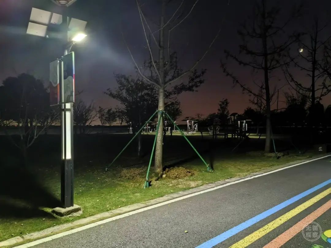 鹅湖镇秋香步道焕然一新，60盏太阳能风能路灯点亮市民夜生活  第2张