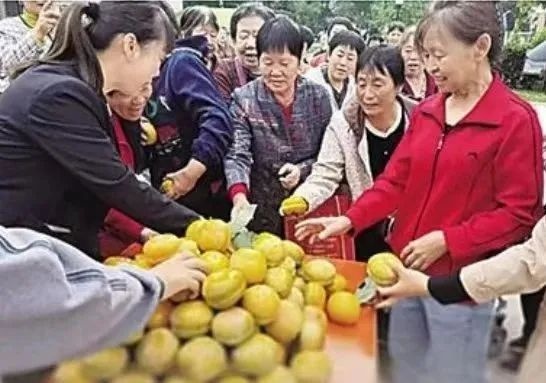 沧州新名片：千年大运河畔，乡风文明如何悄然改变百姓生活？  第13张