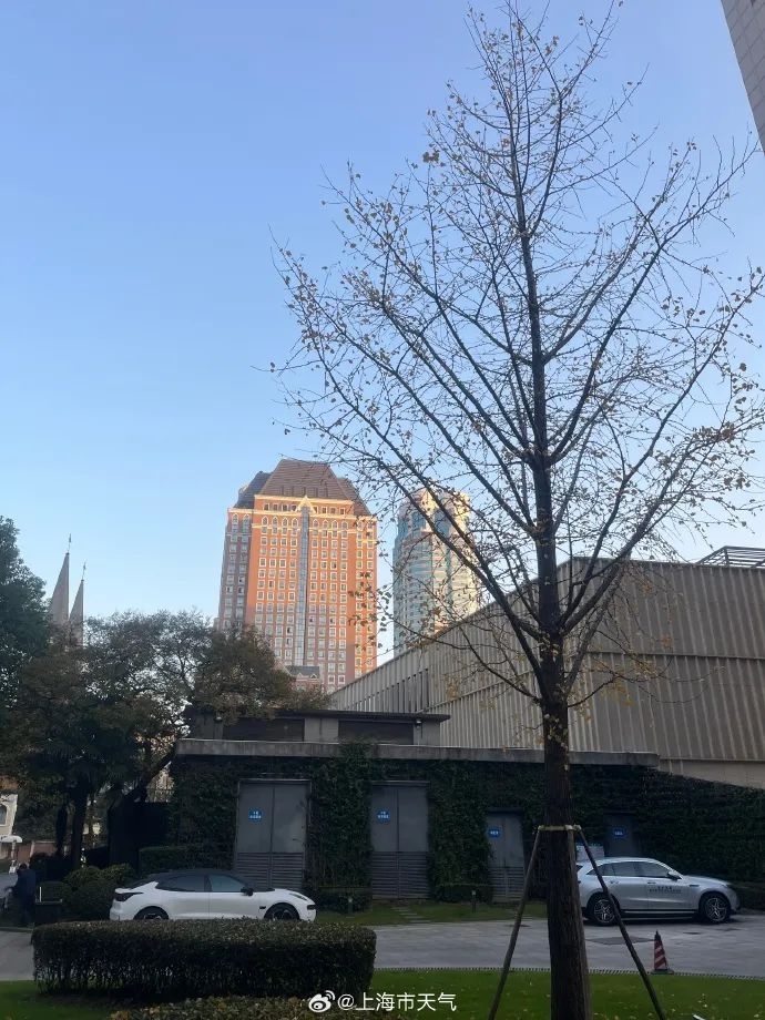 冷空气强势来袭！上海今明气温骤降，最低跌破冰点，你准备好了吗？  第3张