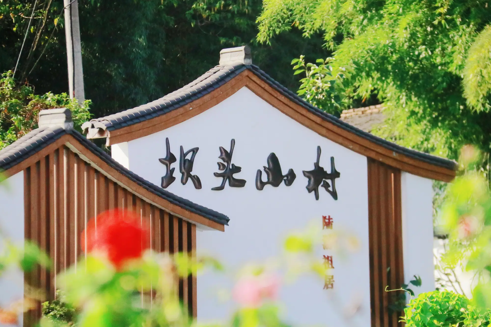 揭秘2024年乡村振兴新力量：5所高校联合调研，青年返乡创业的苦与甜  第1张
