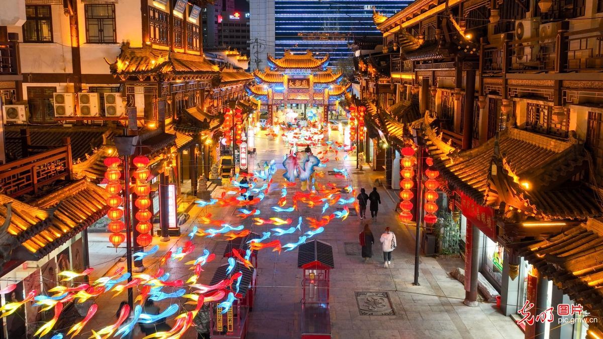 2024年元旦春节双节花灯盛宴：上海豫园、济南大观园等地的璀璨奇观等你来赏  第2张