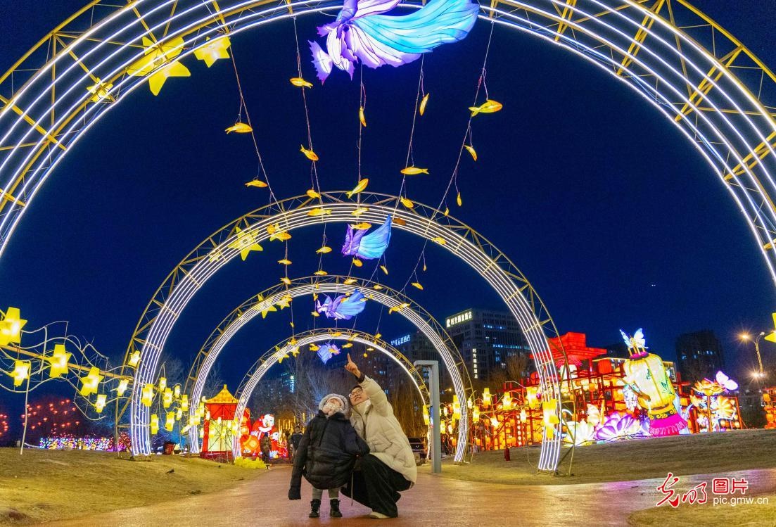2024年元旦春节双节花灯盛宴：上海豫园、济南大观园等地的璀璨奇观等你来赏  第4张