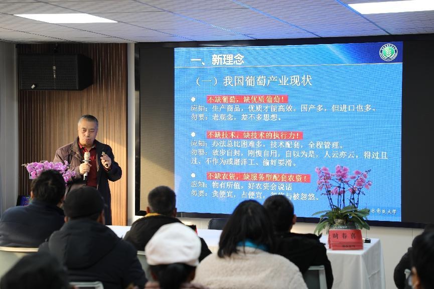 揭秘西安高新区葡萄产业新突破：专家亲授提质增效秘籍，60余种植户齐聚共谋精品发展  第2张
