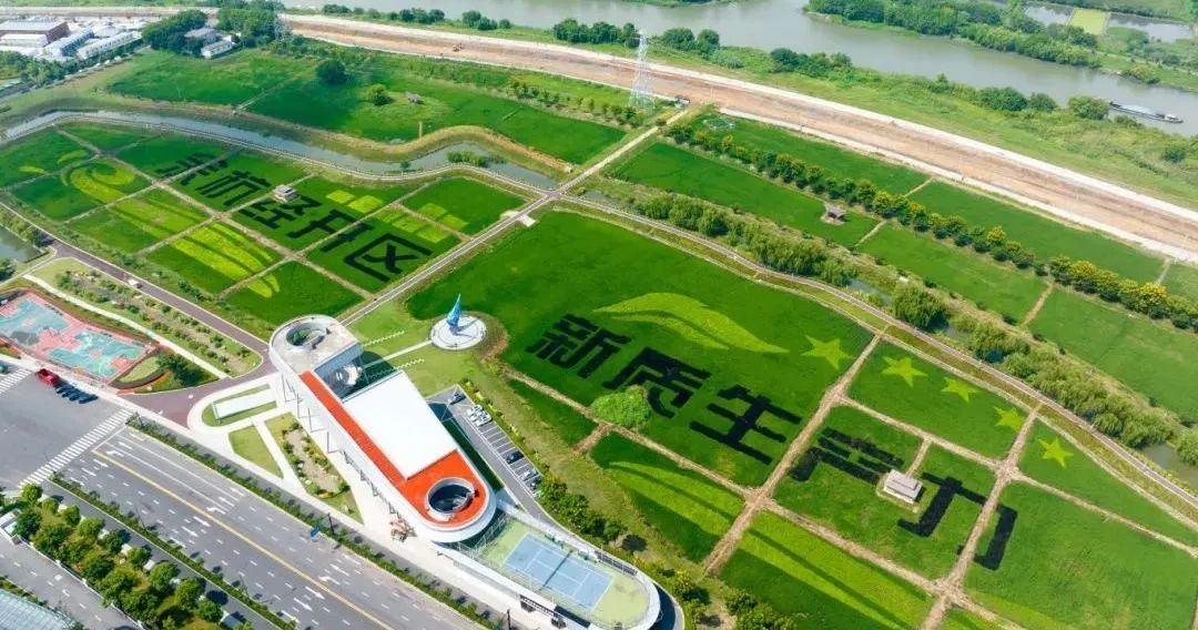 余杭企业如何吸引顶尖人才？这场政策解读会给出了答案  第3张