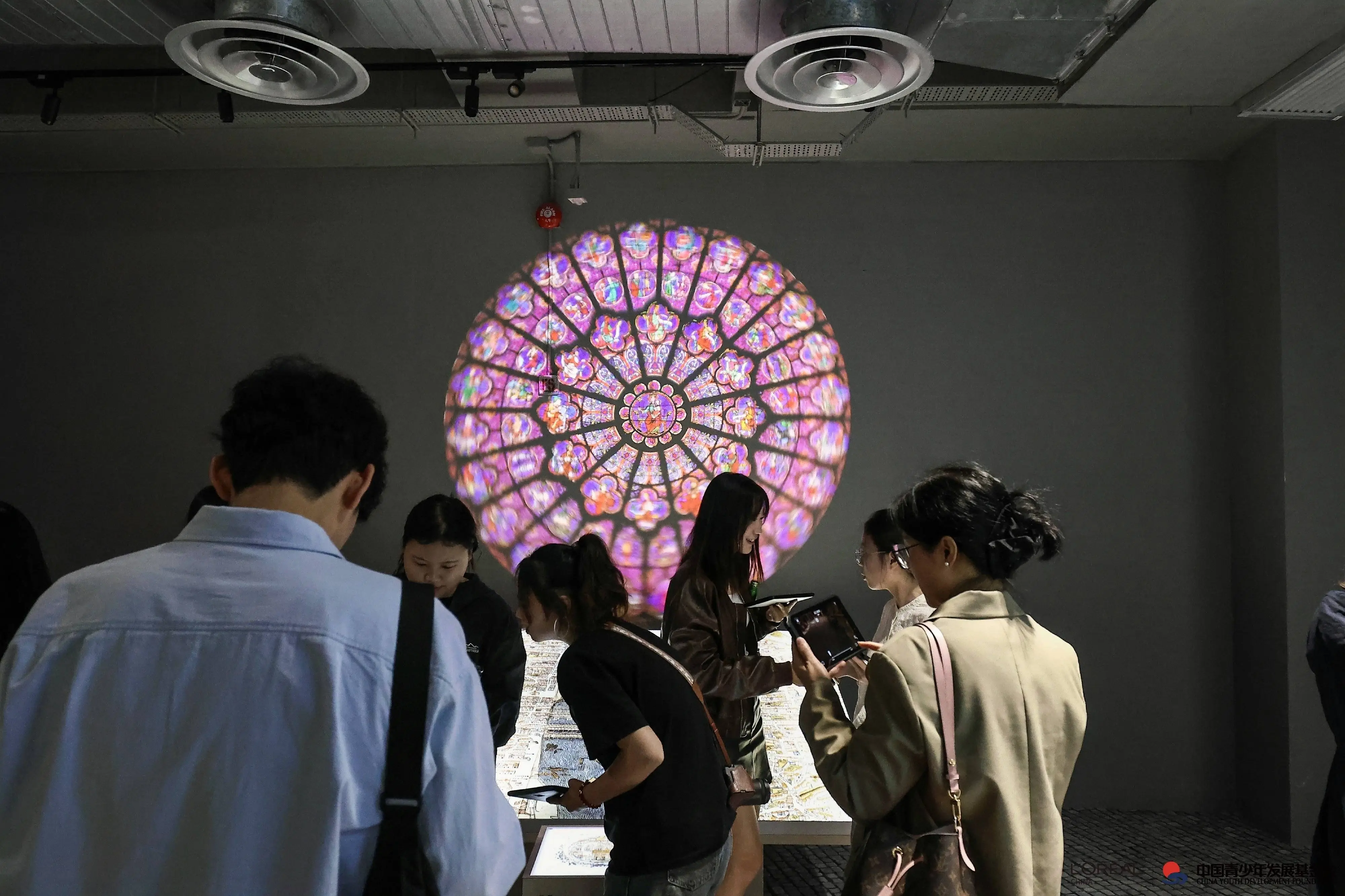 从怕水女孩到如鱼得水：兰珍珍与有意思青年的协同进化之旅  第7张