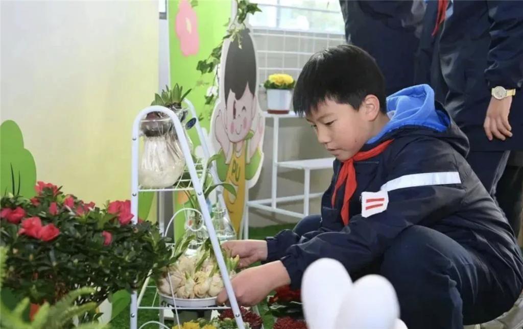 桃浦镇创新实践：桃溪生态小屋如何激发孩子们的环保意识与创造力？  第2张