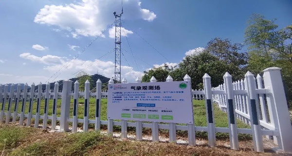浙江清凉峰站入选国家生态质量监测站，揭秘长江三角洲的物种基因库  第8张