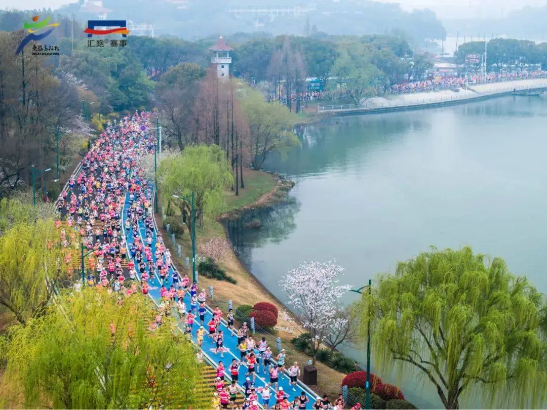 2025无锡马拉松直通门槛再提高！你能在3小时内完赛吗？  第1张