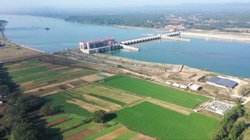 江西万安千亩蔬果基地：每天30-50吨红白萝卜，如何保障元旦蔬菜供应？  第2张