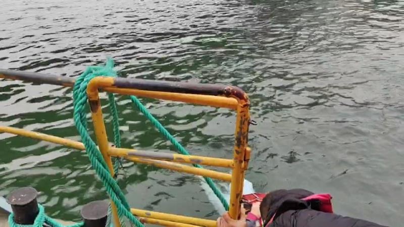 惊险瞬间！柳州水上公交船员勇救跳桥女子，生死营救全记录曝光  第4张