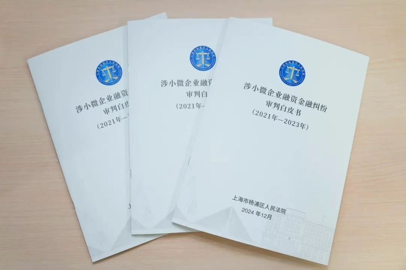 小微企业融资纠纷揭秘：2021-2023年杨浦区法院审理273件案件，金融借款合同纠纷占比超六成  第2张