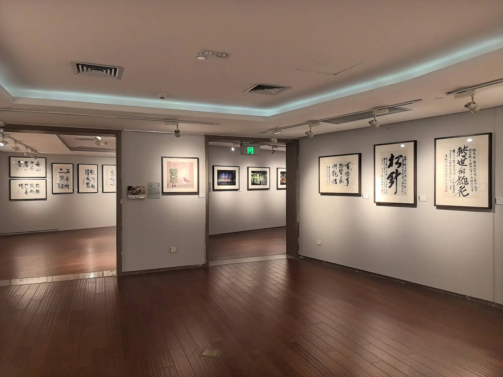 2024年上海朵云轩艺术中心盛大开展：50位当代作家学者251幅书画作品等你来赏  第8张