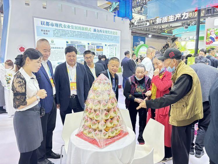 杨凌农高会上，长安展区成焦点！展品丰富，科技便捷，还有美酒飘香  第2张