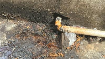 黄埔区一街道污水异味刺鼻，居民苦不堪言，街道办迅速行动