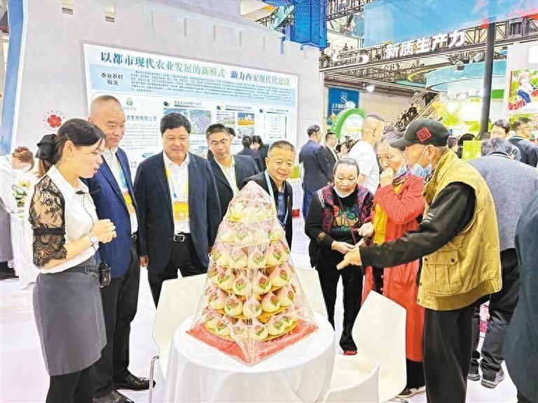 长安花馍惊艳亮相，优质农产品琳琅满目，长安酒飘香四溢，你还不来看看？