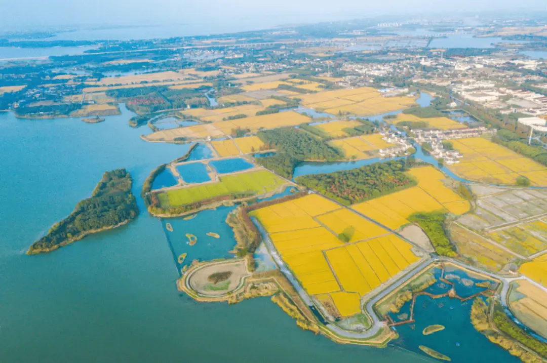 长三角水乡客厅项目进入攻坚阶段，2025 年将整体完工  第5张