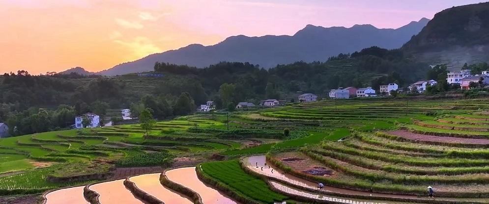 凤堰梯田，秦巴山区的绝美生态画卷  第2张