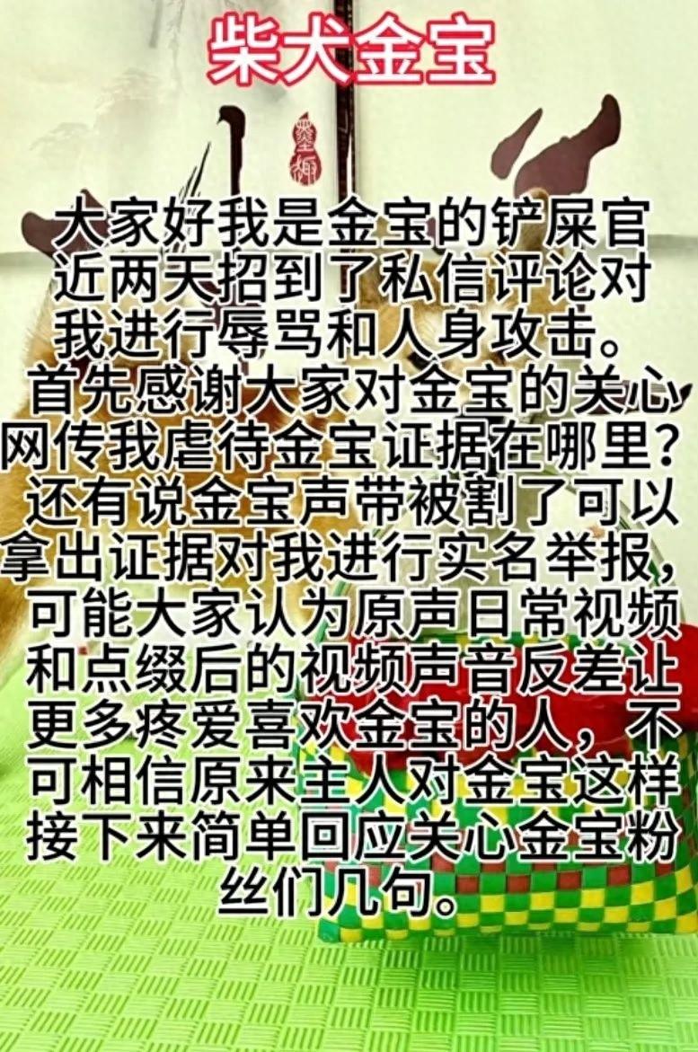 百万粉丝宠物博主被指虐狗，真相究竟如何？  第1张