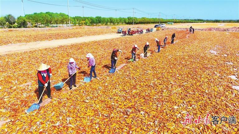 甘肃经济运行成绩单公布，增速居全国第二，连续 11 个季度高于全国平均水平  第3张