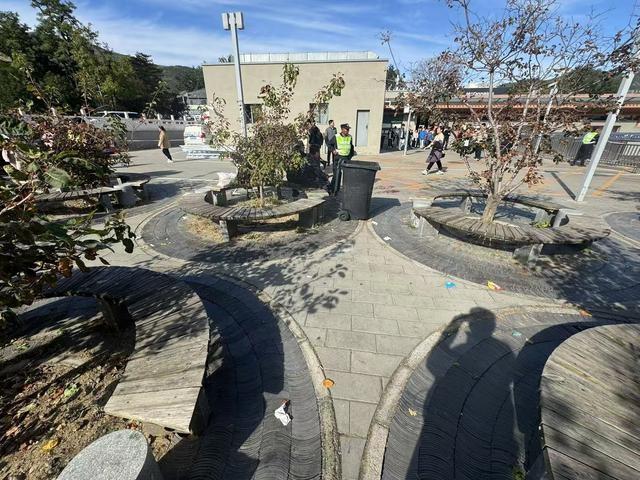 金秋赏红叶，游客乱扔垃圾煞风景，文明出游何时才能实现？  第2张