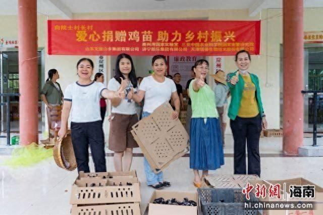 1.6 万羽鸡苗免费送！助力乡村振兴，崖州区村民有福了  第1张