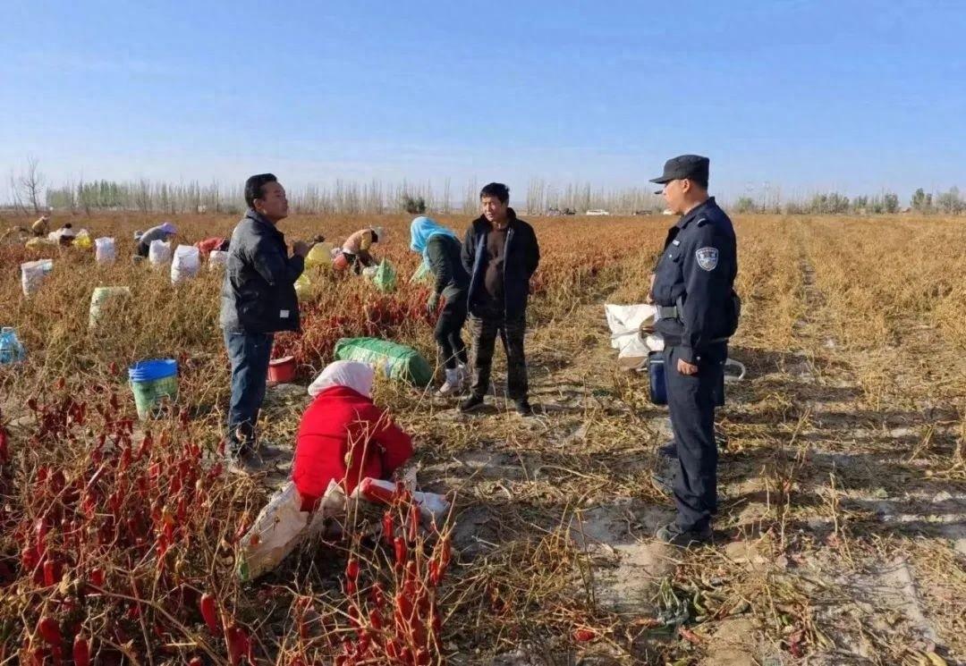 秋收时节，一抹警察蓝为百姓丰收保驾护航，他们是如何做到的？  第1张