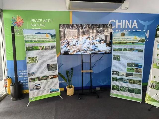 生物多样性魅力城市名单公布！中国这些城市入选，比肩国际名城  第3张