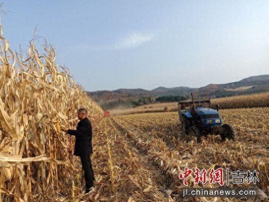 安图县两江镇多措并举推进秋收工作，确保粮食颗粒归仓
